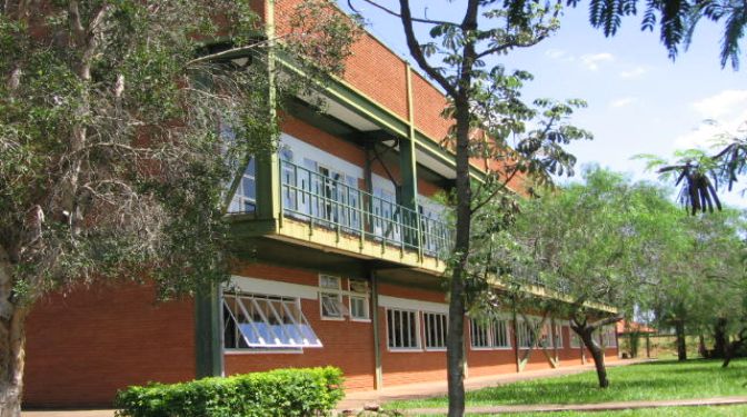 Escolaridade 2
